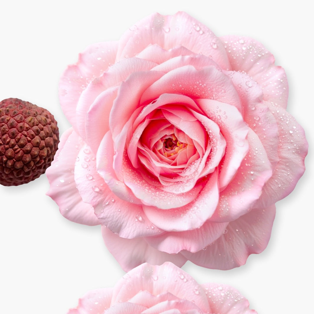 DELINA LA ROSÉE