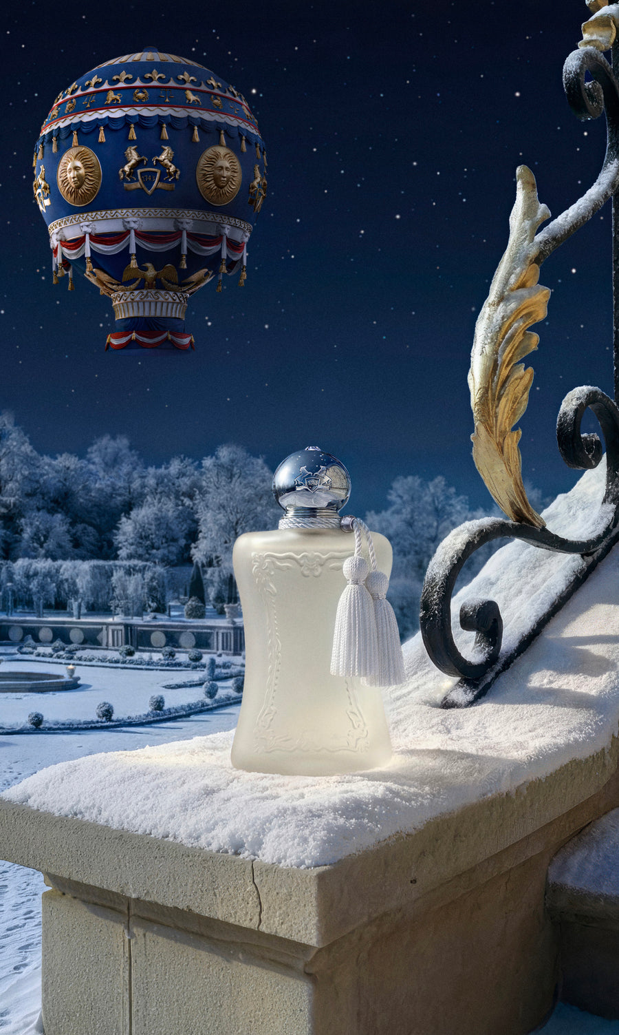 A CELEBRATION BEYOND THE STARS​