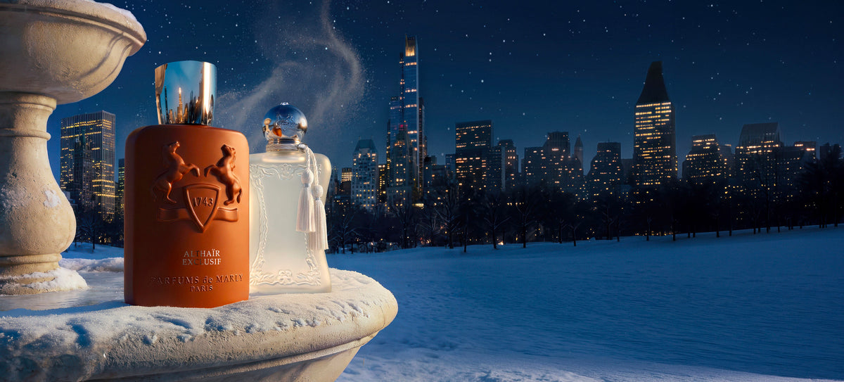 A CELEBRATION BEYOND THE STARS​