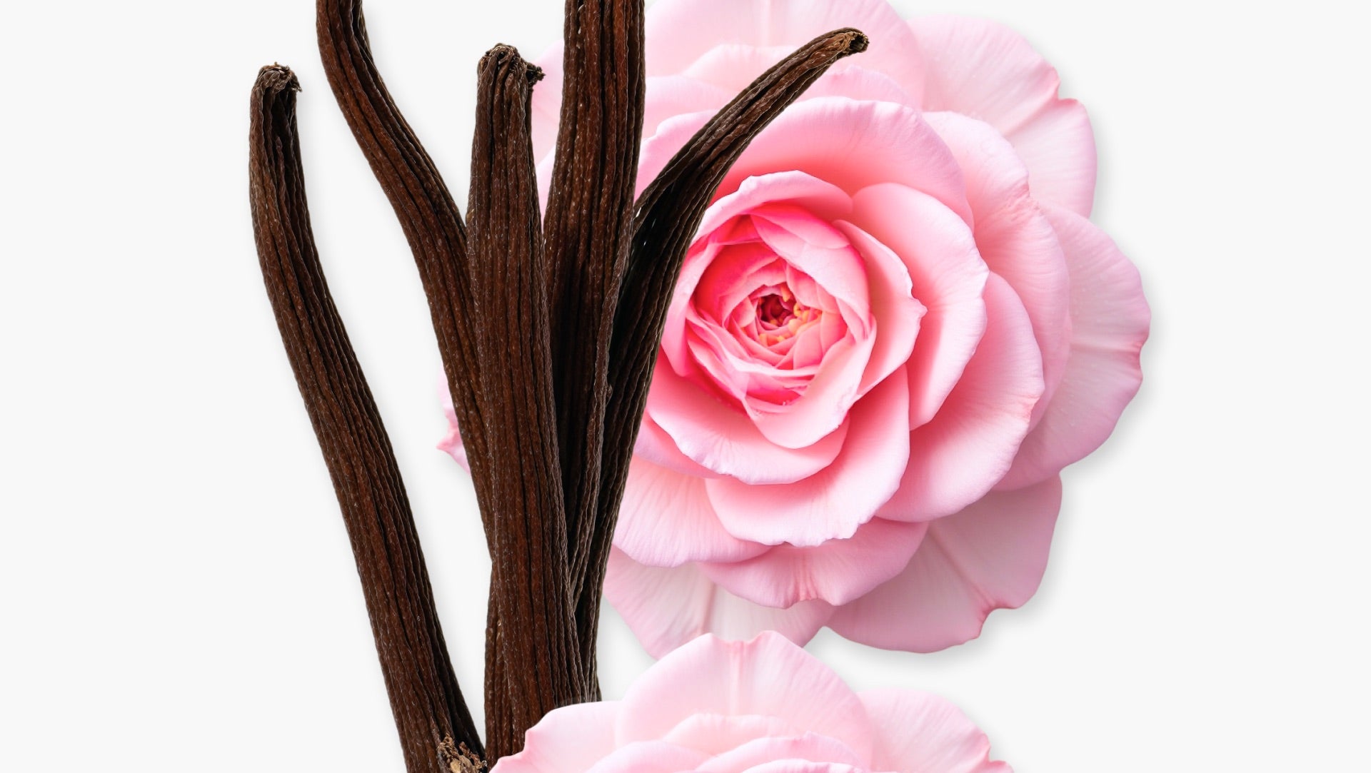 Delina Exclusif Parfum (30ml) - Parfums de Marly Official